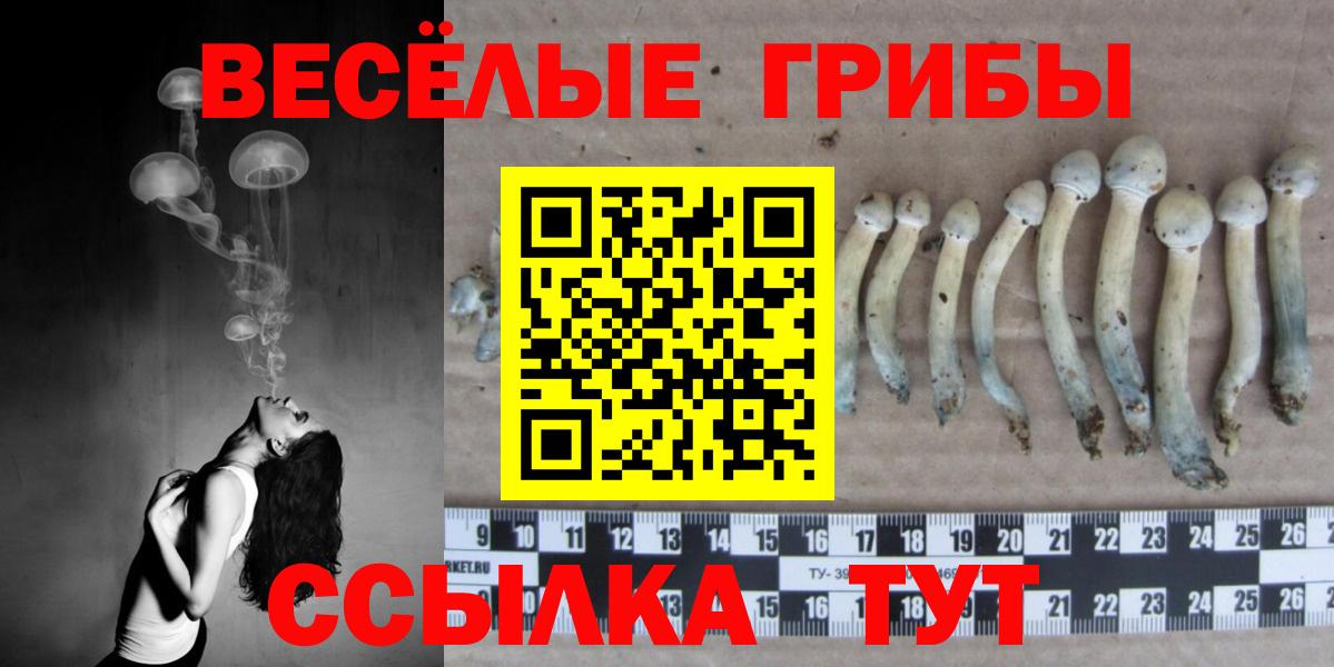 Псилоцибиновые грибы мицелий Аксай