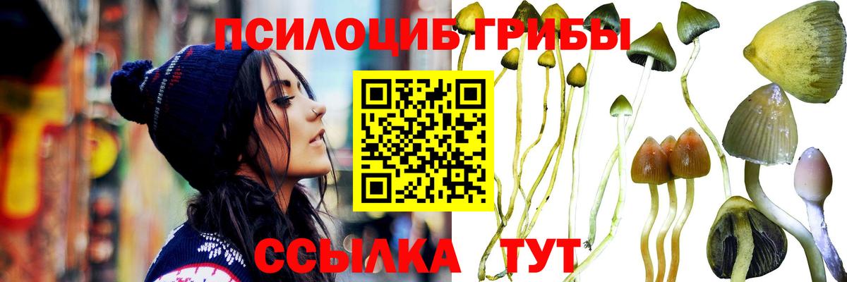 Псилоцибиновые грибы MAGIC MUSHROOMS  Вход с VPN  где купить наркоту  Аксай 